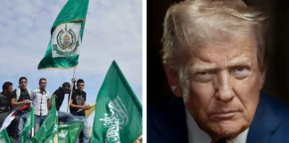 Hamás acepta el histórico plan de Trump para desarmarse en Gaza Hamás condiciona su desarme a la retirada de Israel de Gaza