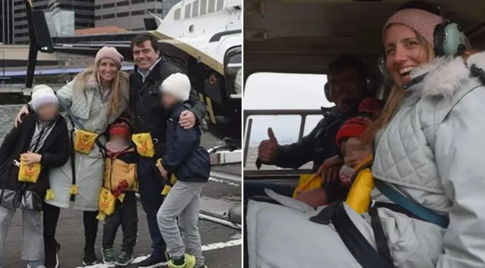 6 víctimas: aves habrían provocado accidente de helicóptero en Nueva York