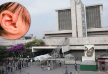 Niño fallece tras picadura de insecto