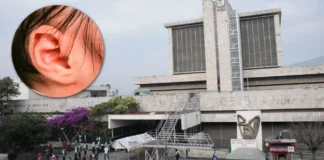 Niño fallece tras picadura de insecto