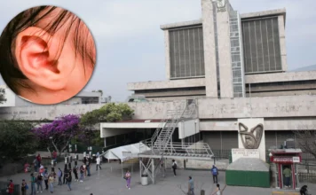 Niño fallece tras picadura de insecto