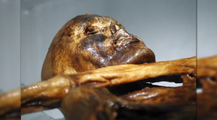 Encuentran levadura viva en una momia de hace 5,300 años y elaboran pan