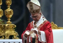 Recibe el papa 57.6 millones de euros en donaciones durante 2025