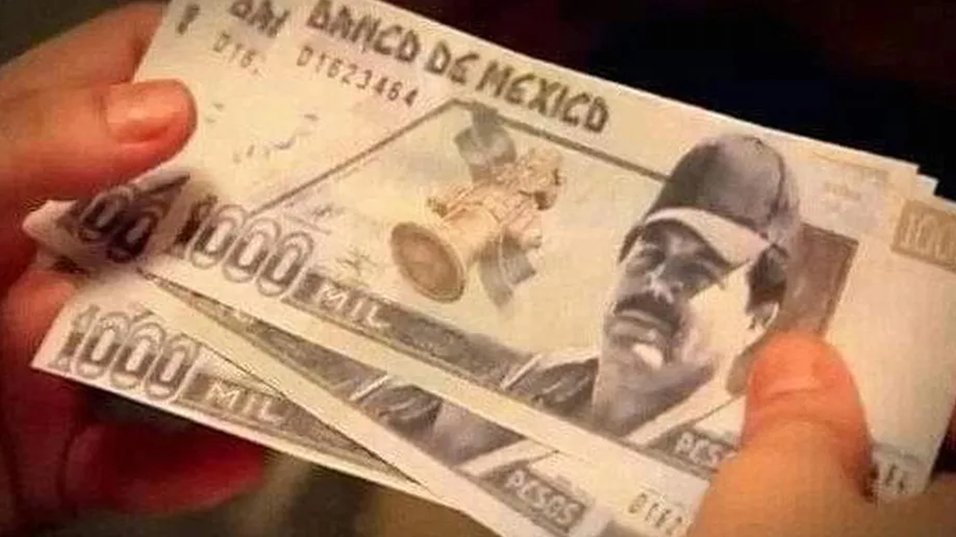 15 mil millones de dólares de El Mayo en análisis