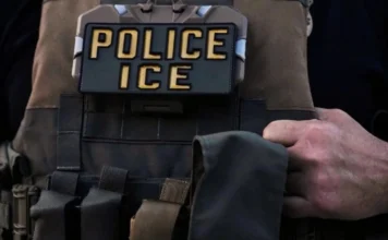 ICE deporta a presunto integrante del cártel Santa Rosa de Lima a México Cártel Santa Rosa de Lima