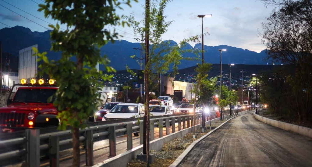 Los árboles fueron plantados en el Circuito 3.