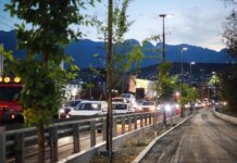 Los árboles fueron plantados en el Circuito 3.