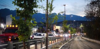 Los árboles fueron plantados en el Circuito 3.