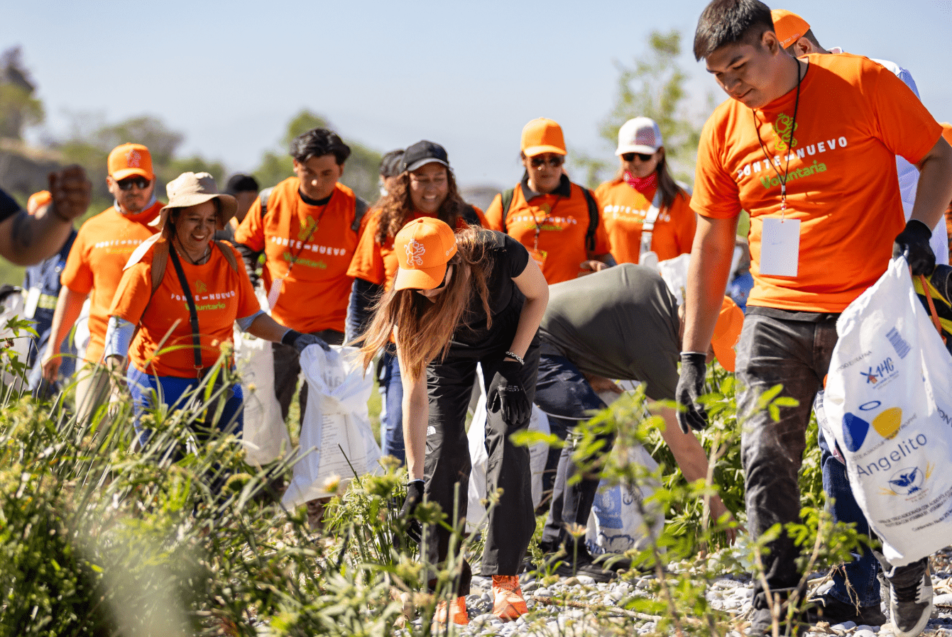 Siembran más de un millón de árboles en NL La actividad de sembrar árboles del Gobierno Estatal formó parte de la Jornada Nacional de Reforestación.