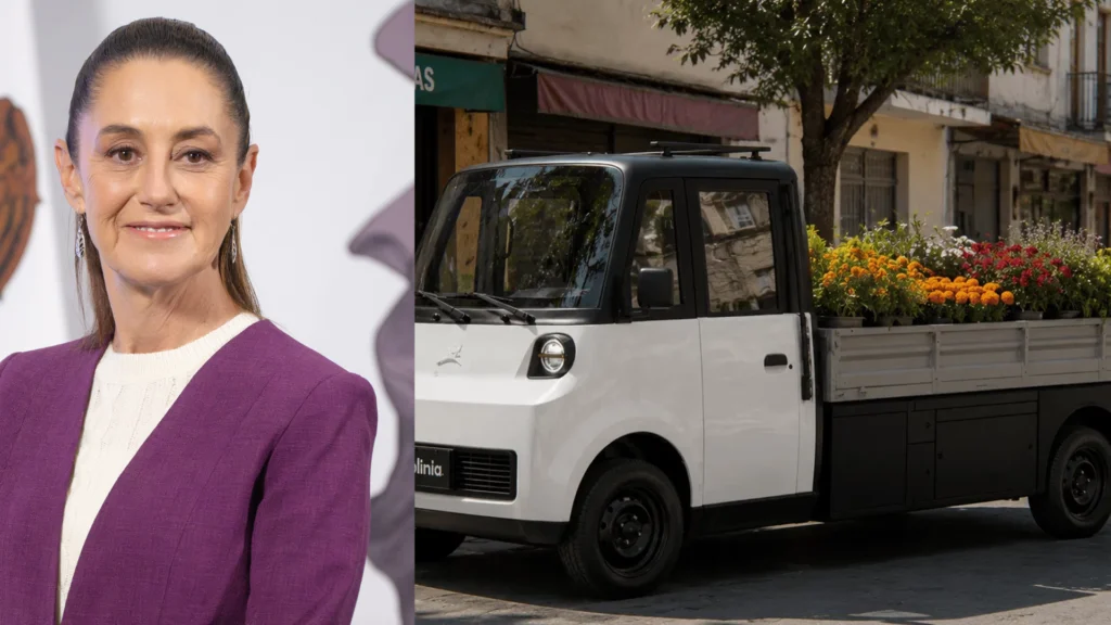 Detalles y precio del nuevo Olinia Carga fabricado en México