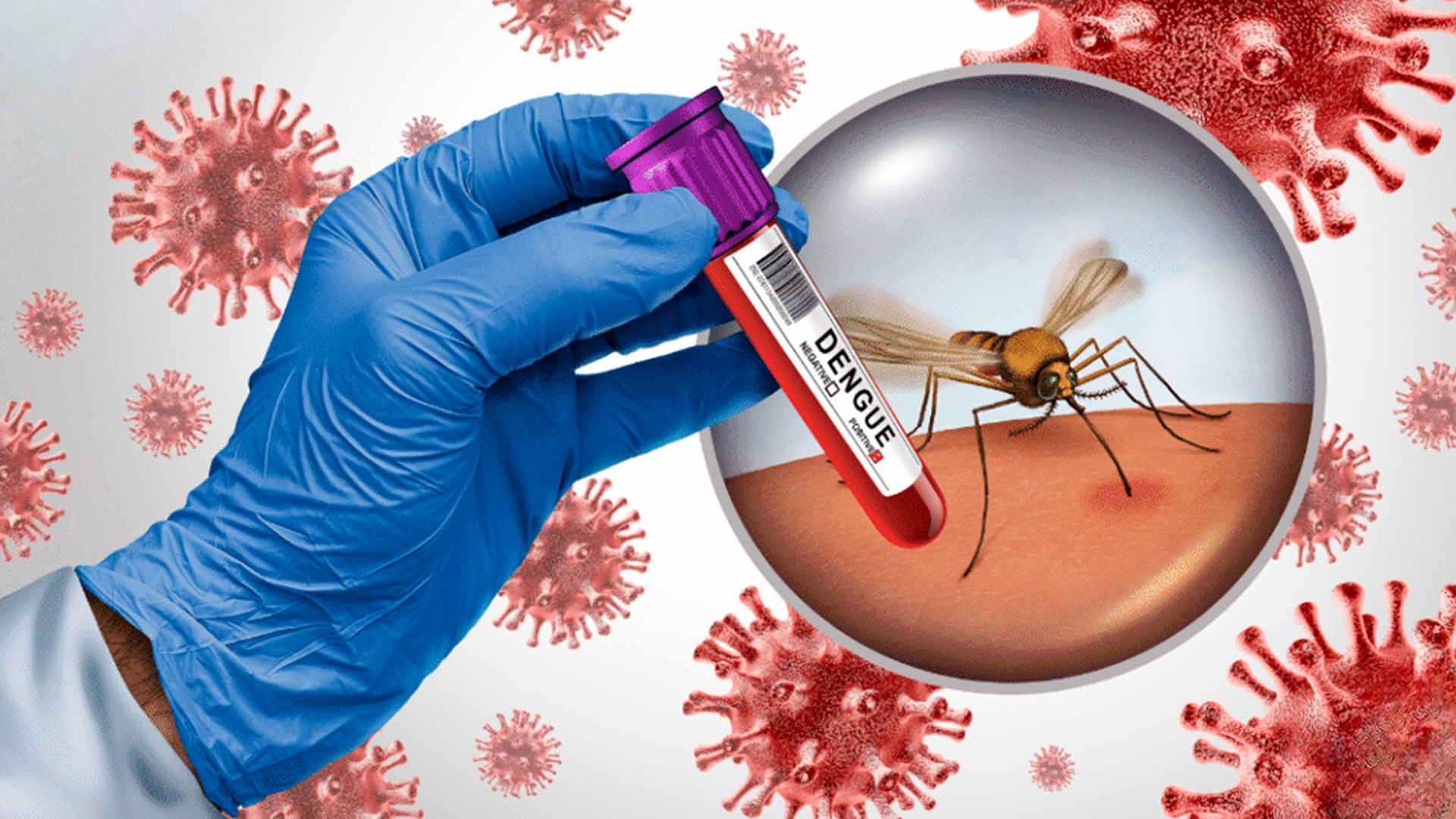 Florida confirma casos de dengue