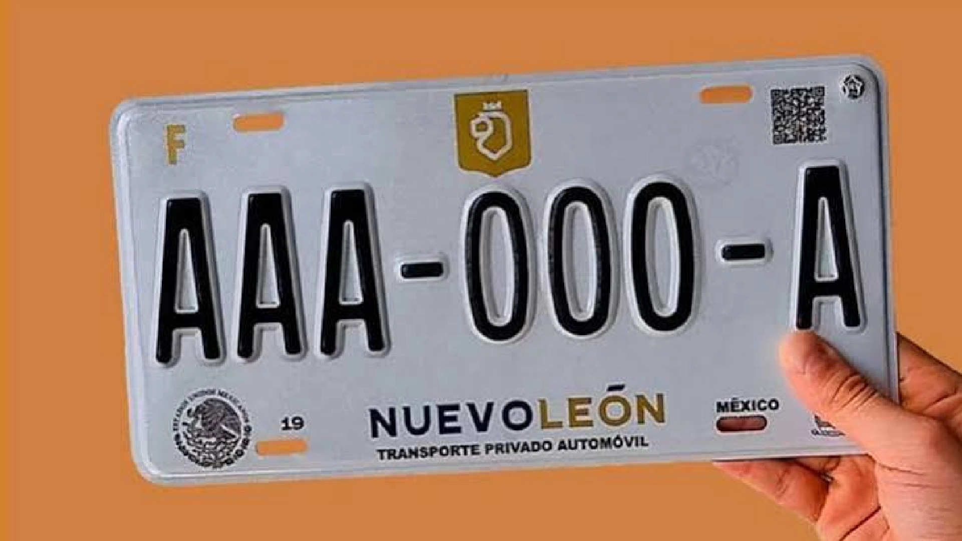 Digitalización de servicios en NLínea