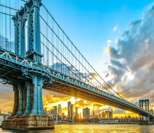 Brooklyn: hombre escala el puente, salta al río y es acusado