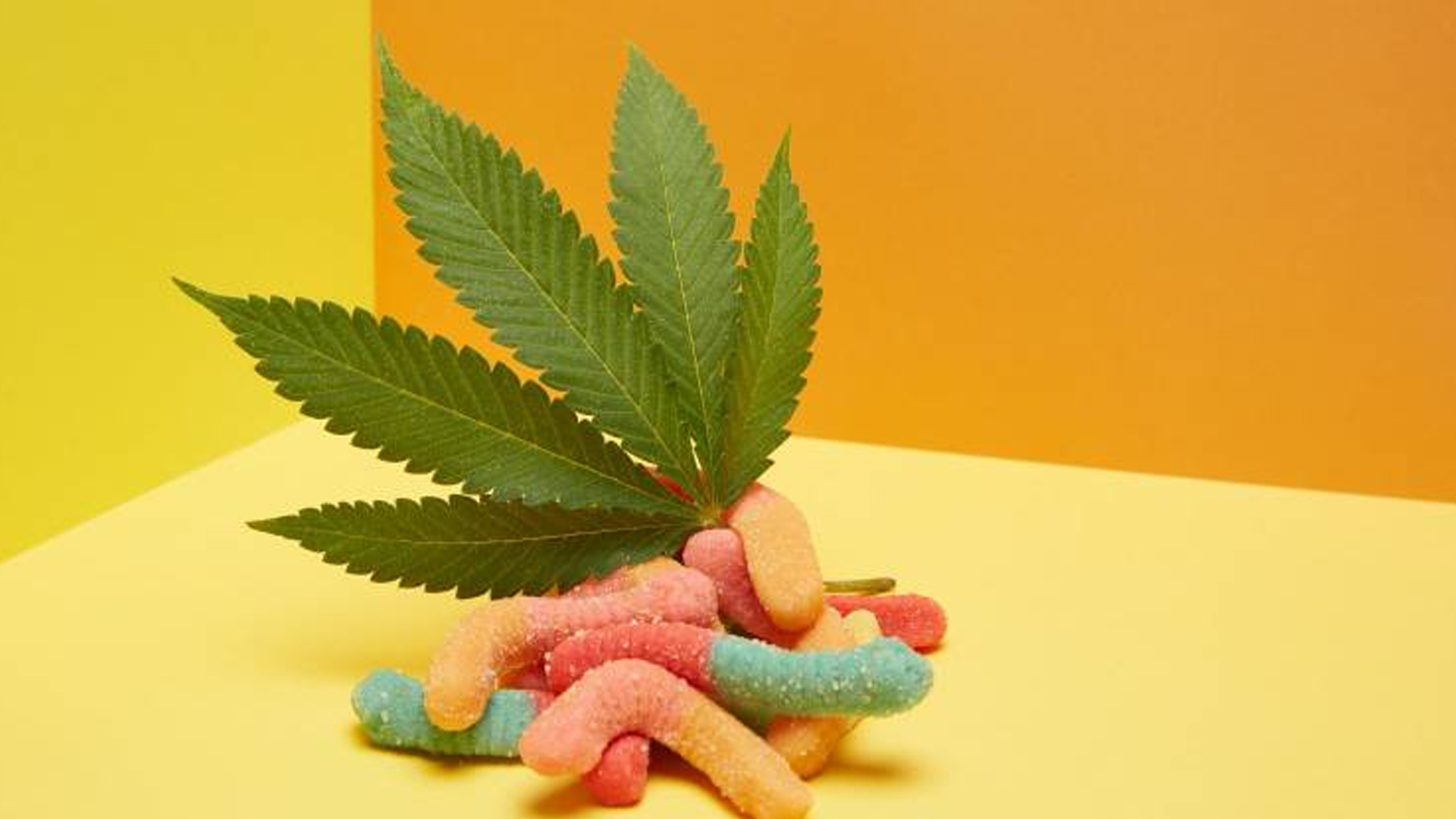 Marihuana: investigación en secundaria de Nuevo León