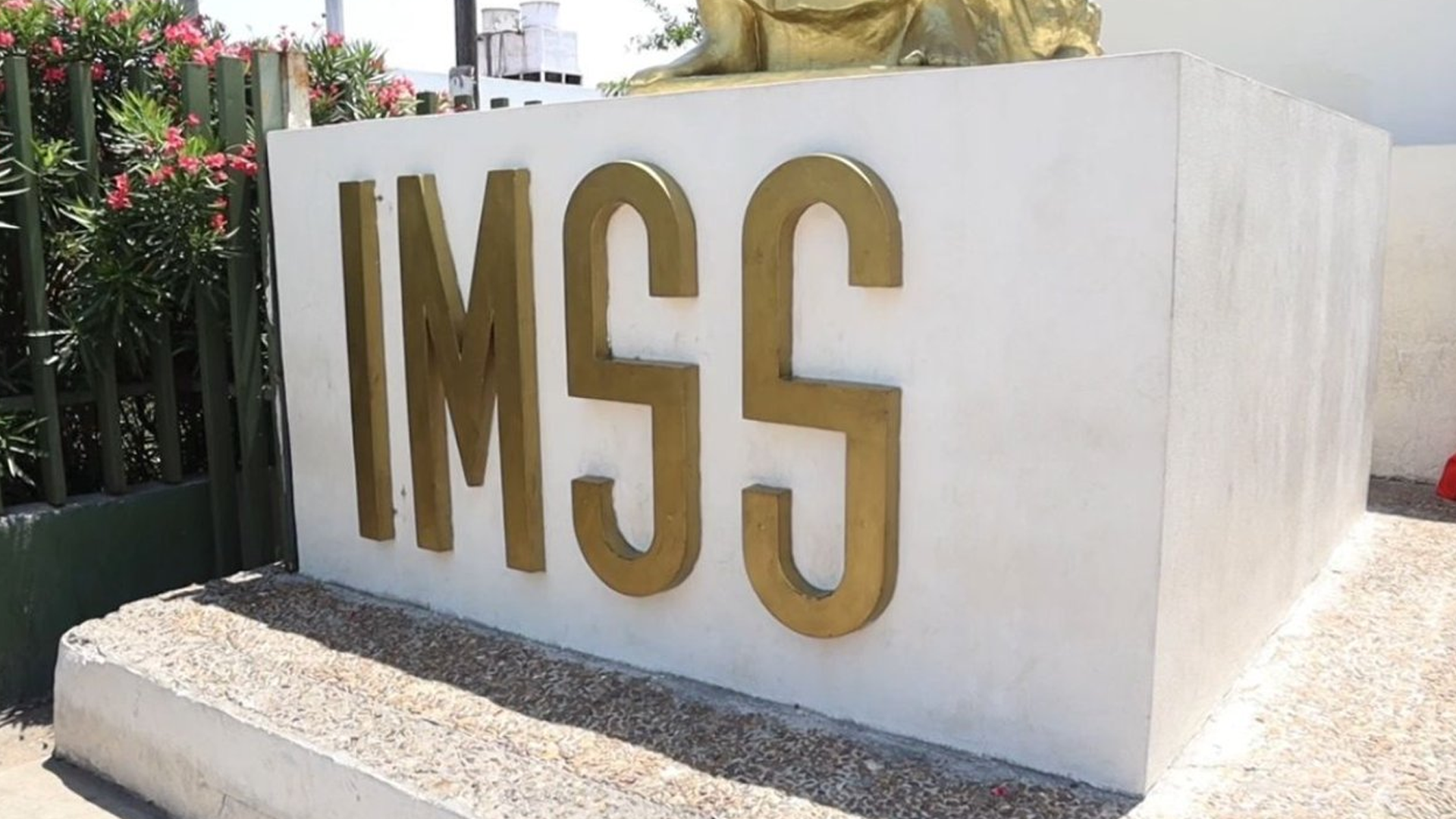 IMSS enfrenta denuncia por muerte de recién nacidos
