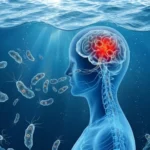 Mérida detecta ameba Naegleria en seis lagos artificiales