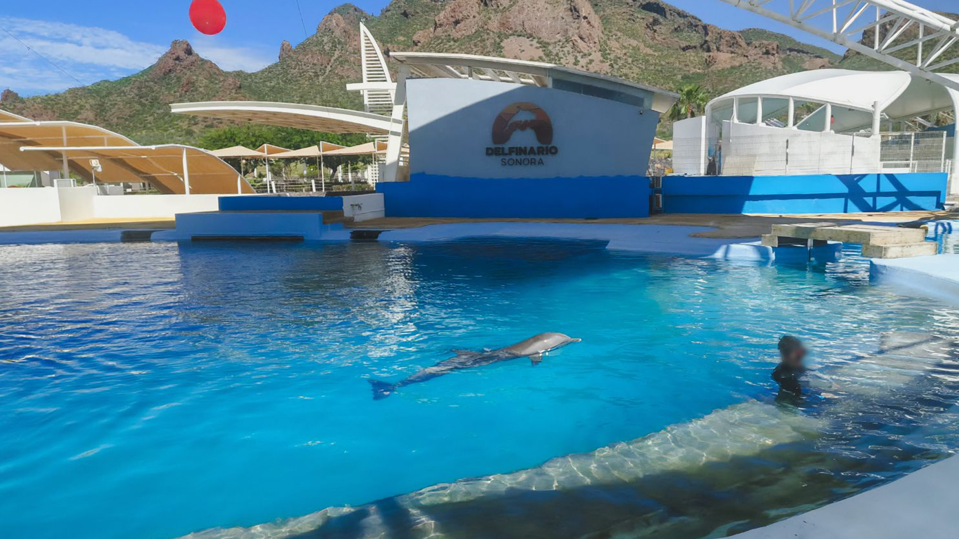 Profepa inspecciona las instalaciones del Delfinario Sonora