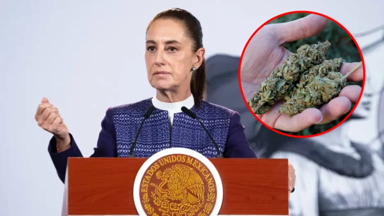 Sheinbaum niega consumo de drogas durante transmisión en vivo.
