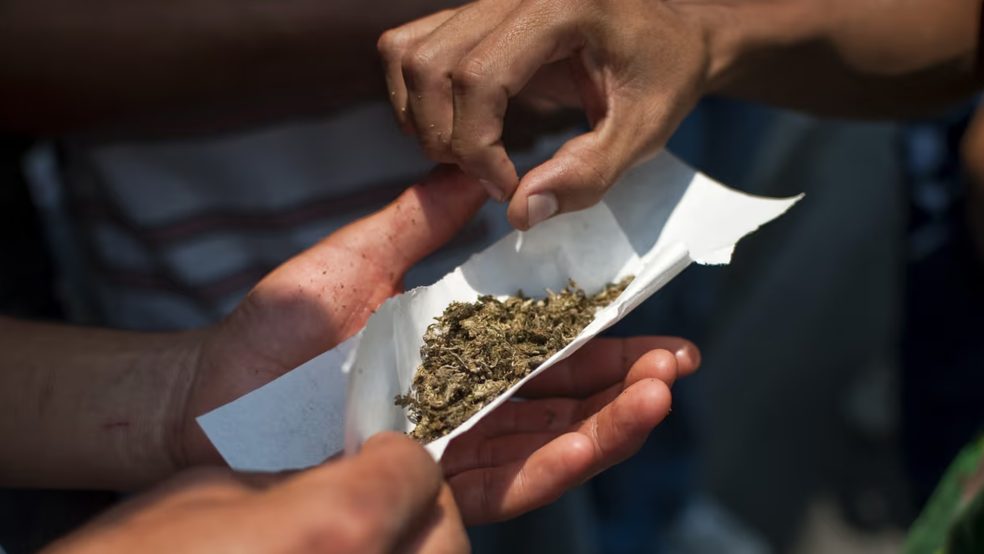 Drogas: plataforma Menos Daño busca cambiar la política nacional